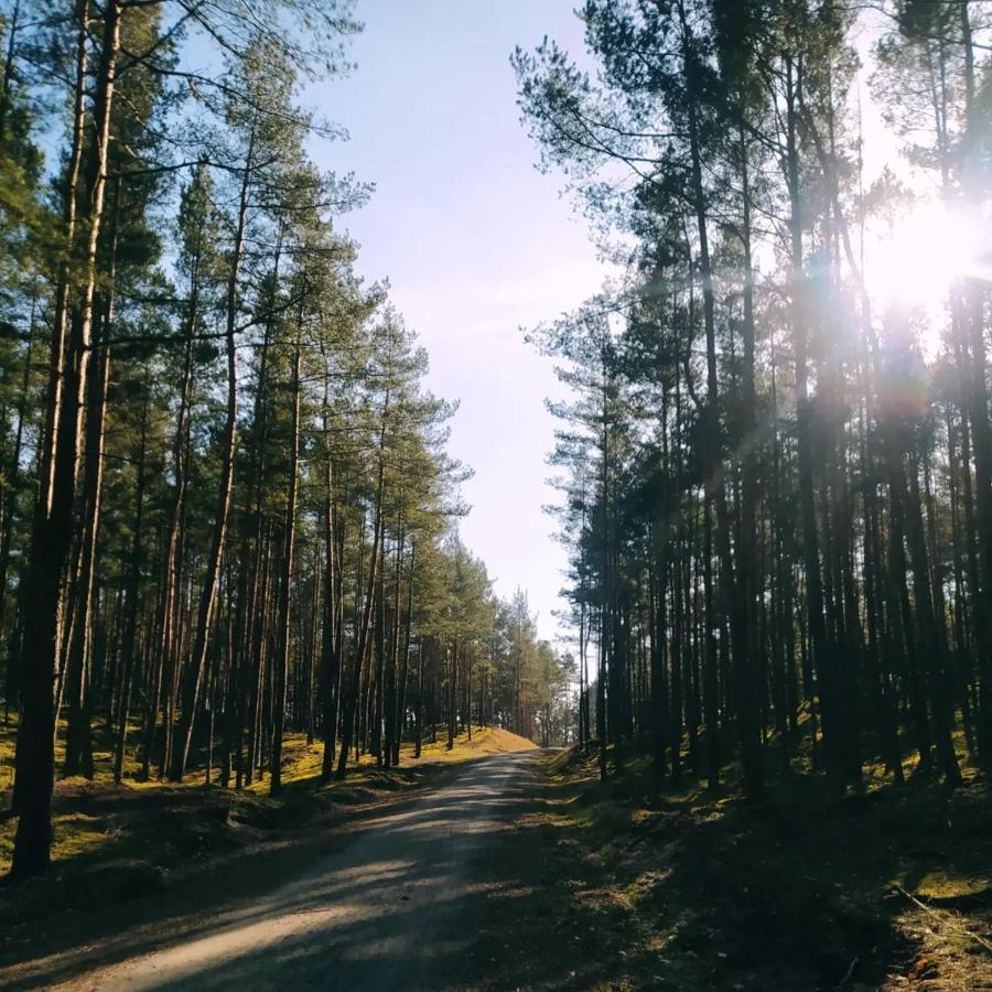 Wioslowka - Domek Nad Morzem Gdańsk Exteriör bild